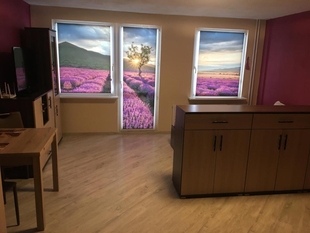Apartament 6 Osobowy شكلارسكا بوريبا المظهر الخارجي الصورة