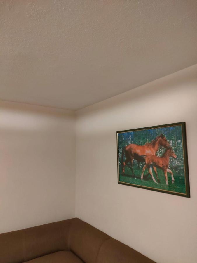 Apartament 6 Osobowy شكلارسكا بوريبا المظهر الخارجي الصورة